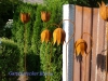 Gartenstecker-Blume